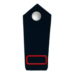 Schulterstücke Hauptamtliche Feuerwehr
