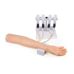 Trainingsarm Intravenöse Injektion und Infusion