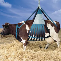 Tier-Hebegeschirr ''DOWNACOW''